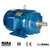 1.5HP 1800RPM 575V 145T
