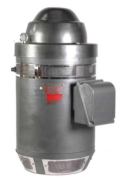 100HP 1800RPM 404TP Vertical Hollow Shaft Motor