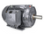 This image features the 2HP 1800RPM 145T Severe Duty Electric Motor, a high-performance three-phase motor engineered for demanding industrial applications. Its robust design ensures reliability in harsh conditions, making it perfect for pumps, compressors, and conveyors. With a sturdy 145T frame, this motor provides easy mounting and installation in various setups