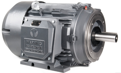20HP 1800RPM 256TC